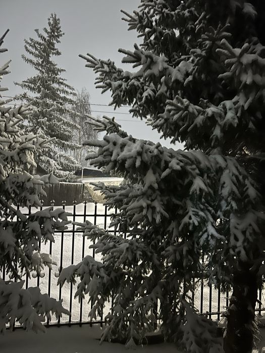 Дом в центре Меновного