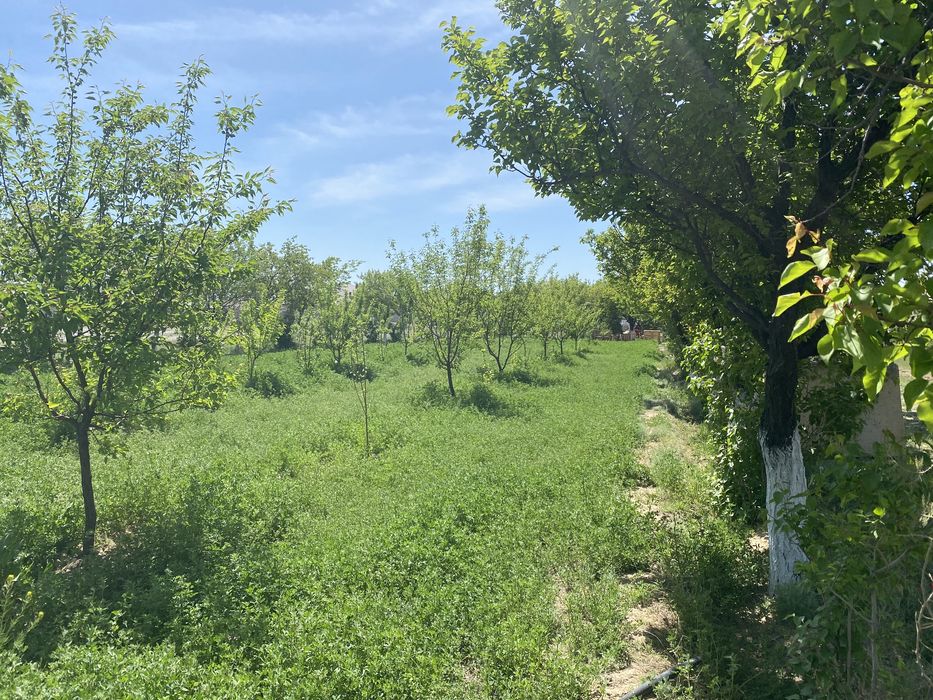 Жалға 1га. жер беріледі