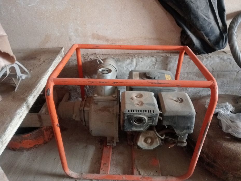 Продам вадиинои попа  сотка