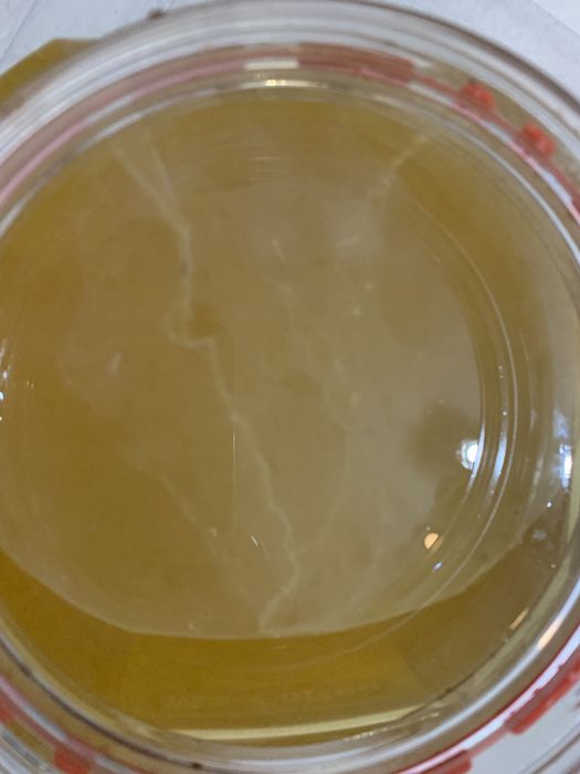 Продам домашний Яблочный уксус