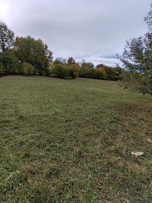 Teren extravilan - Vama Buzăului