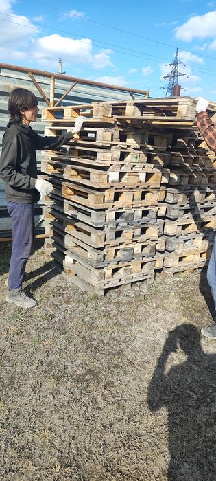 Куплю поддон и паллеты