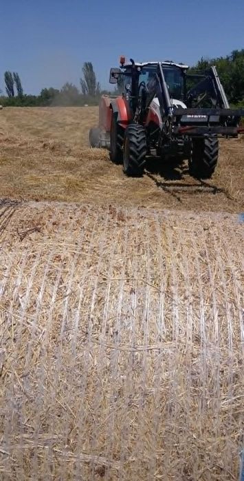 Продавам рулонни бали ливадно село. село Лозен община Любимец. Цена 30 евро