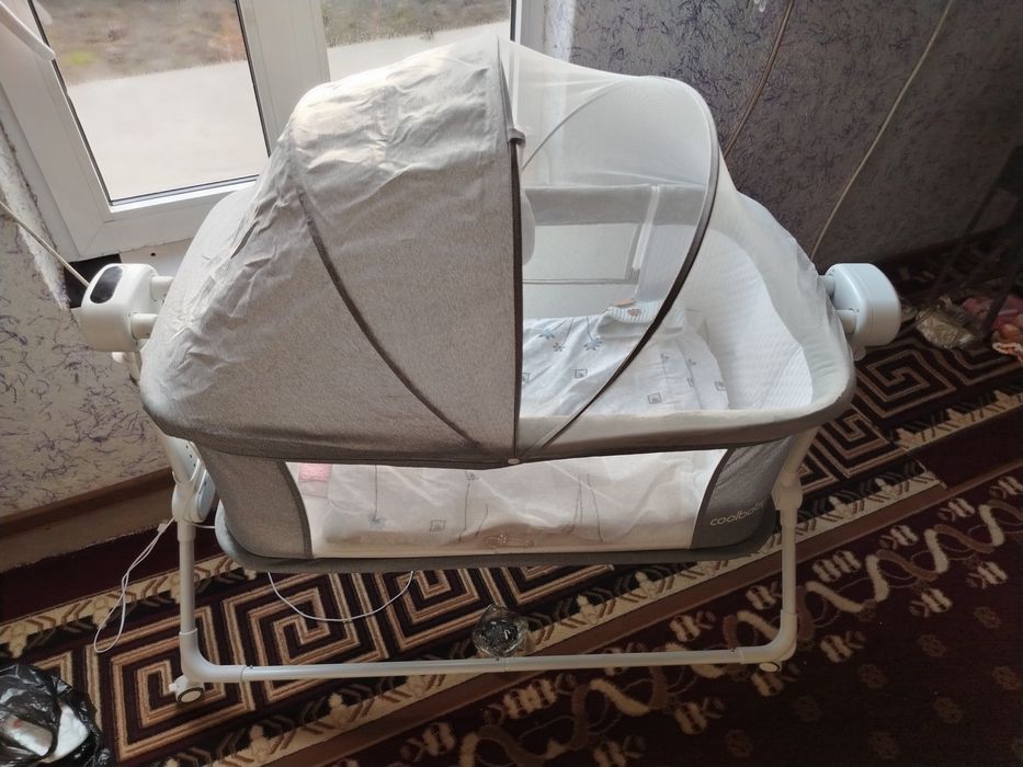 Беланчак электрический