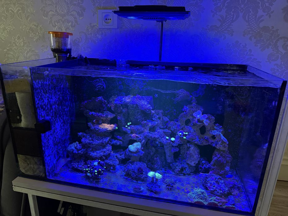 Морской аквариум 115 л.