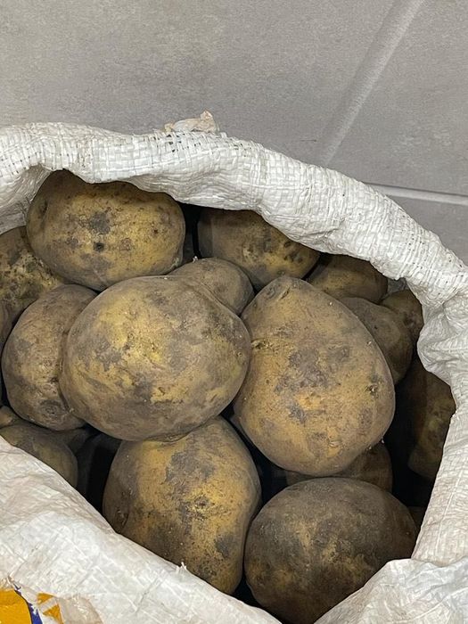 Домашнее масло, курт