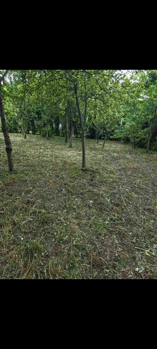 Парцел в с. Рибарица ,област Ловеч