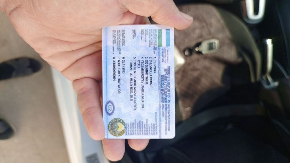 Other Cobalt 2023 — 7