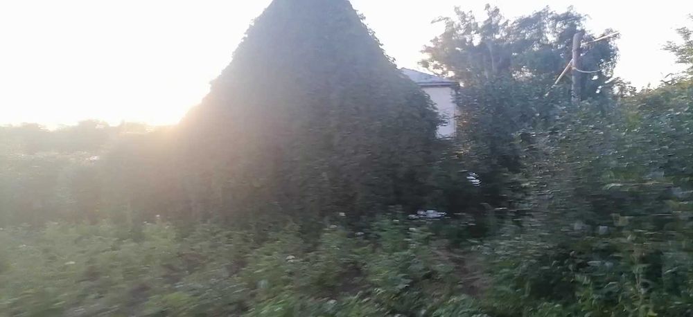 Дача СПП продаю .