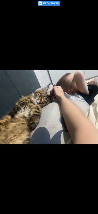 Мейн кун мальчик с документами