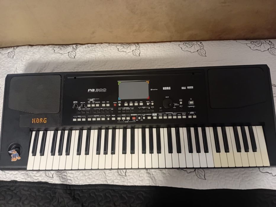 Orga Korg pa 300