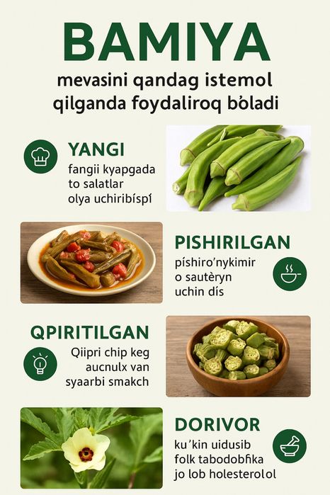 Bamiya urugʻlari MChJ dan 1-qoʻl