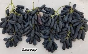 Uzum, Avatar ko'chati