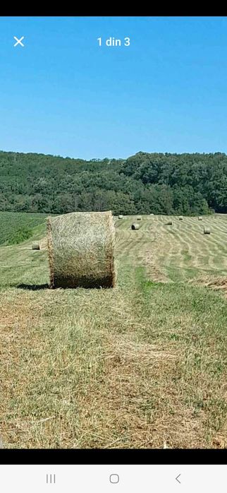 Balotat de fin de vinzare