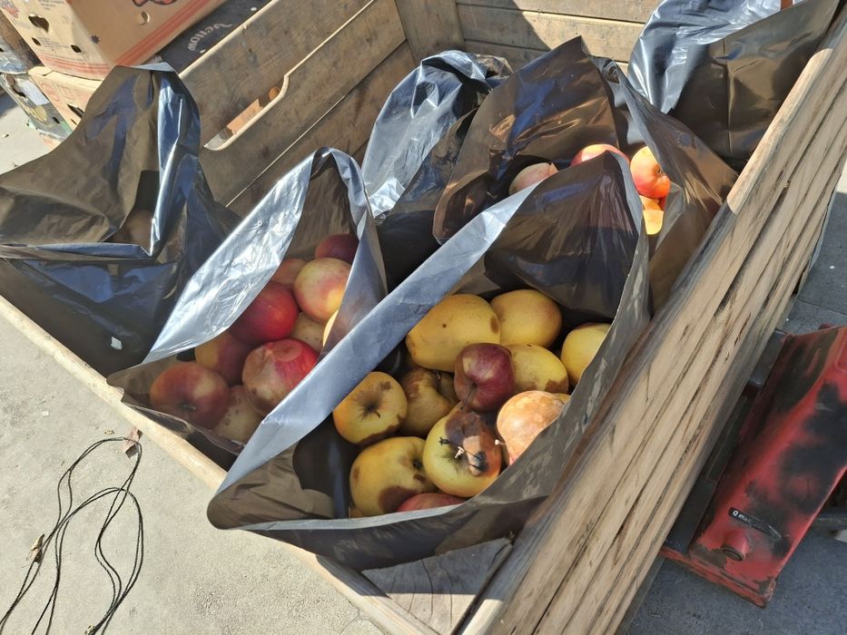 Mere de vanzare pentru gem,suc și rachiu calitate buna,preț avantajos