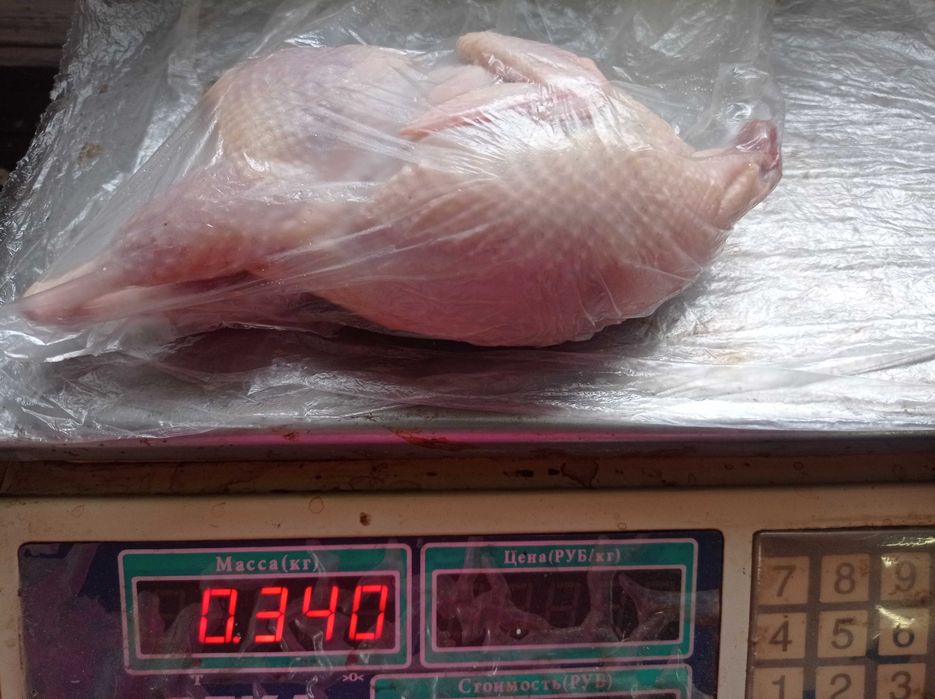 Продам Мясо перепелов