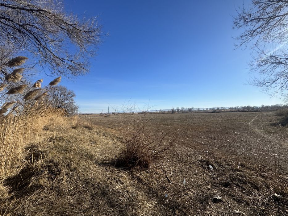 В аренду поливная земля