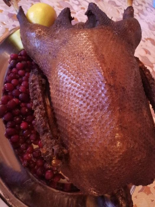 Продам копчёного гуся