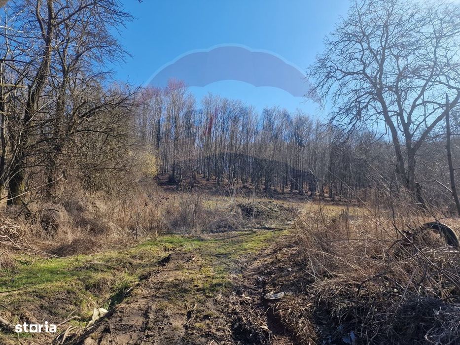 Teren de Vânzare în Pâncești (Sascut)