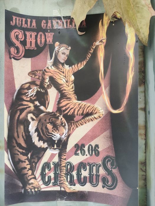 Цирк чудес в Алматы