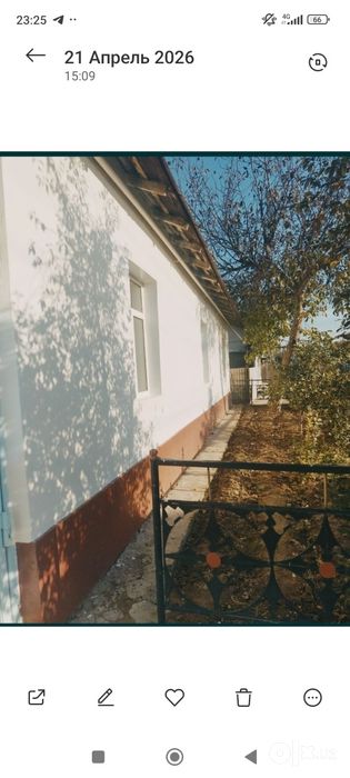 Кибрайда ер нархида файзли ховли сотилади