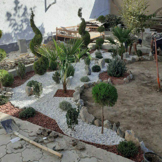 Manzarali daraxt kuchatlar