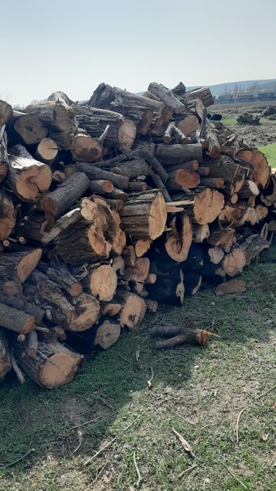 Отындар жиналып дайын тұр