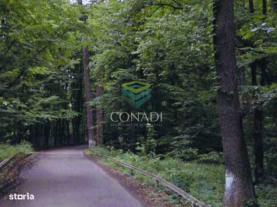 Oportunitate-Teren Snagov cu Deschidere Directa Lac si Padure 12.135mp