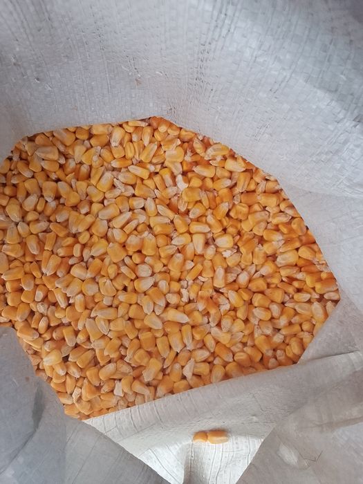 Бизнес по продаже кормов