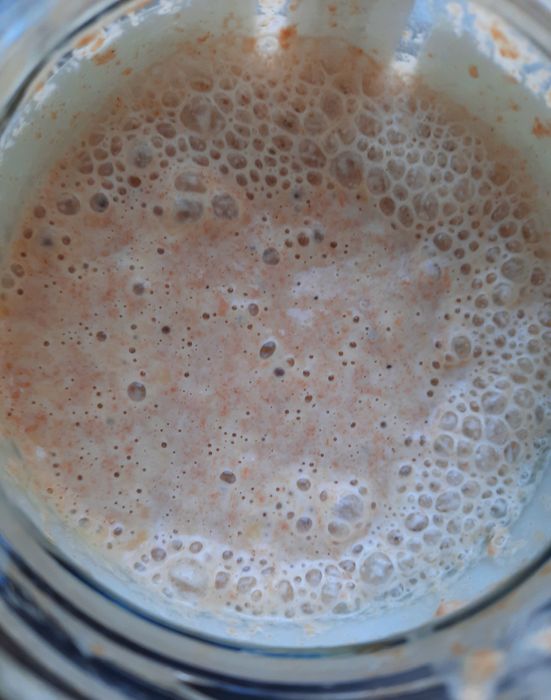 Maia activă cu făină BIO 100% INTEGRALĂ!