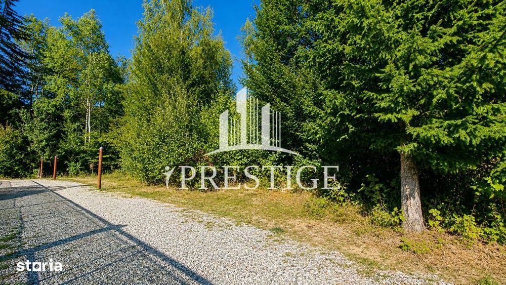 Teren Intravilan De Vânzare | Valea Avrigului | 744 Mp