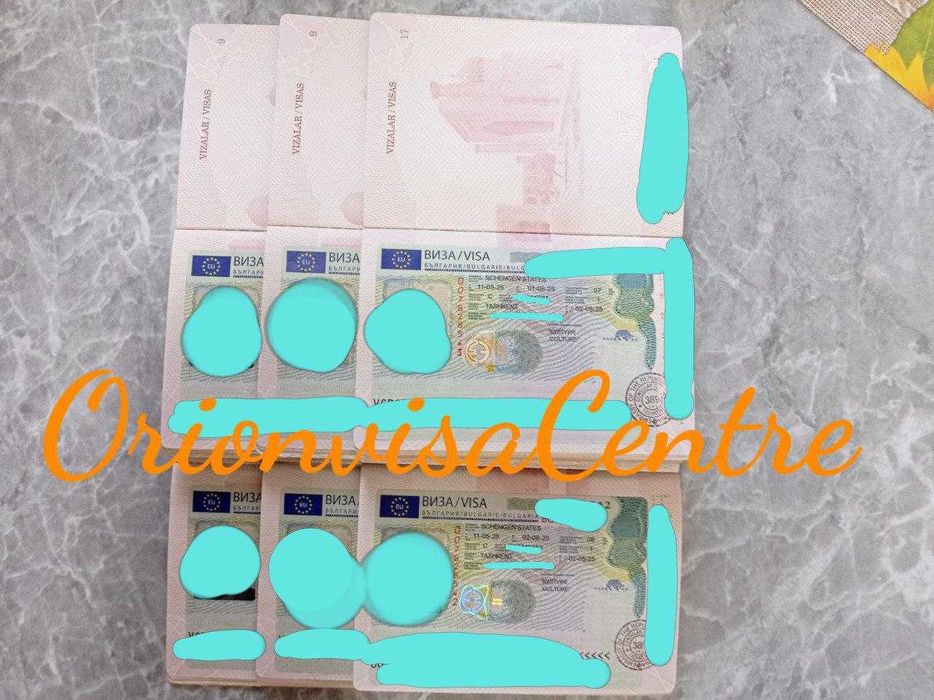 Помощь в оформлении виз за границу – учеба, работа, туризм