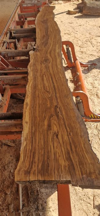 Blaturi uscate din lemn maslin