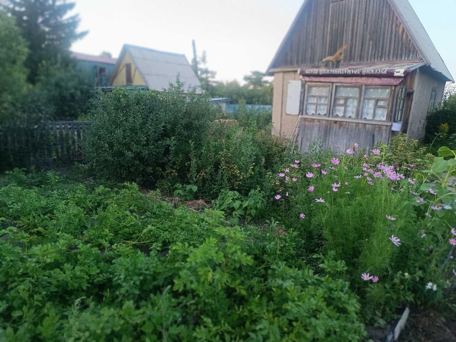 Продам дачу на Федоровке
