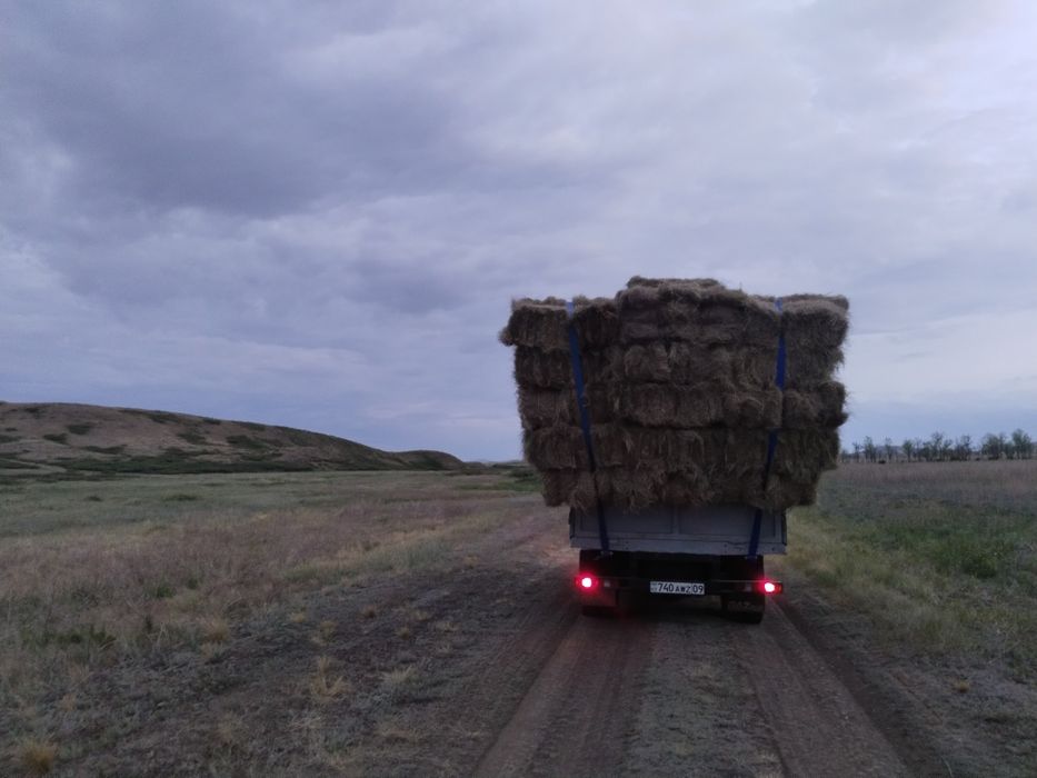 Сена Зеленая доставка по Караганде