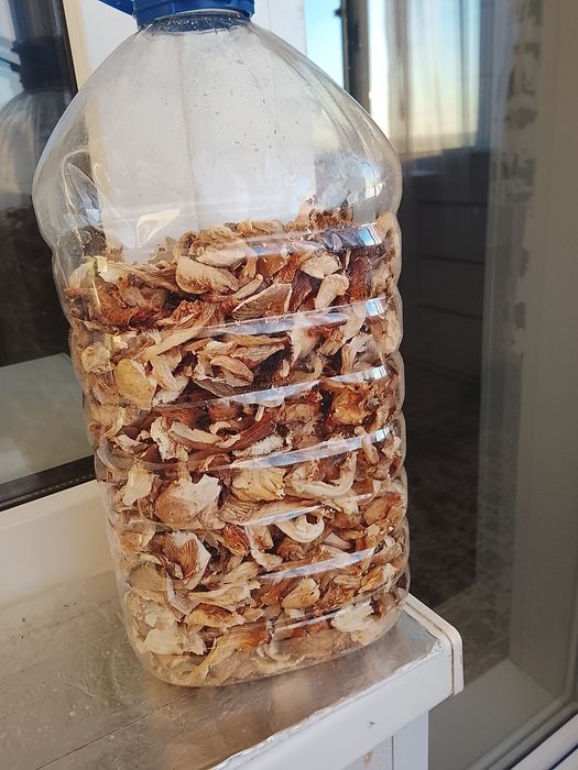 Грибы сушеные. Вешенки.