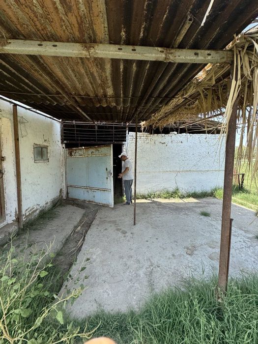 Ферма 21 соток. Янгиюль