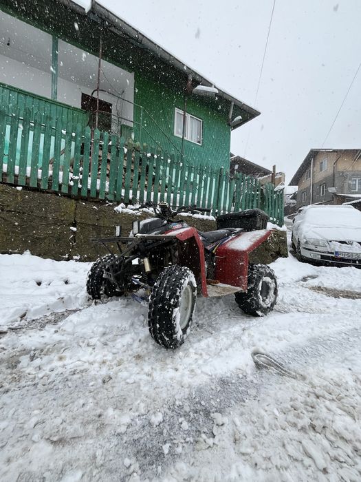 Vand ATV BASHAN 250 cc