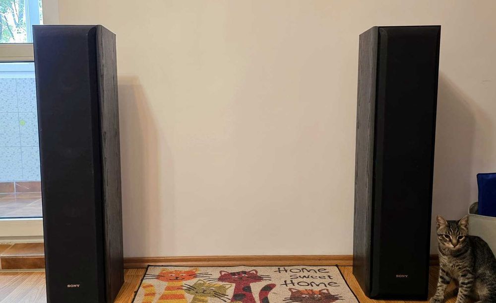 Vand boxe SONY SS F6000