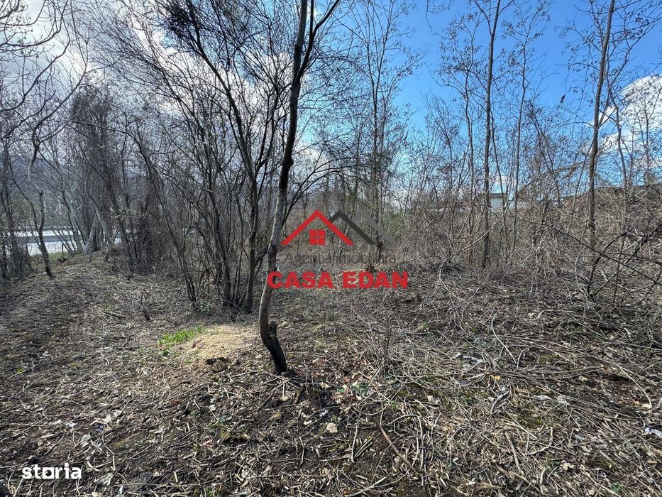 Teren intravilan in Campina--1565 mp--35.000e