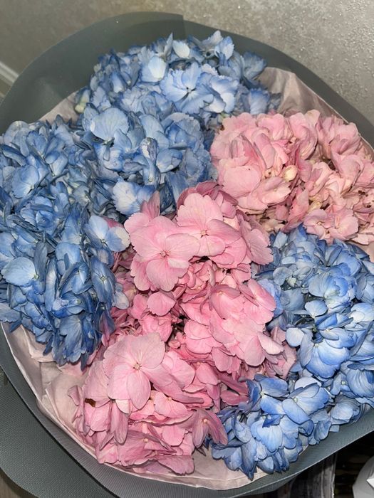 Цветы гартензия.