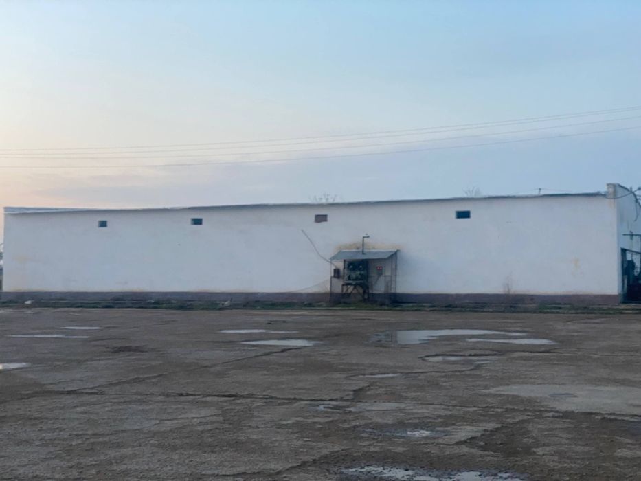 Qishloq xo‘jaligi maxsulotlarini saqlashga mo‘ljallangan muzlatkich