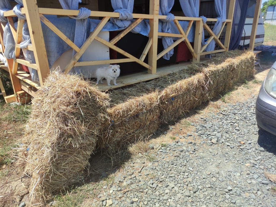 Бунгало къмпинг Арапя