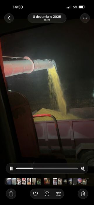 Vand Porumb Boabe 2025