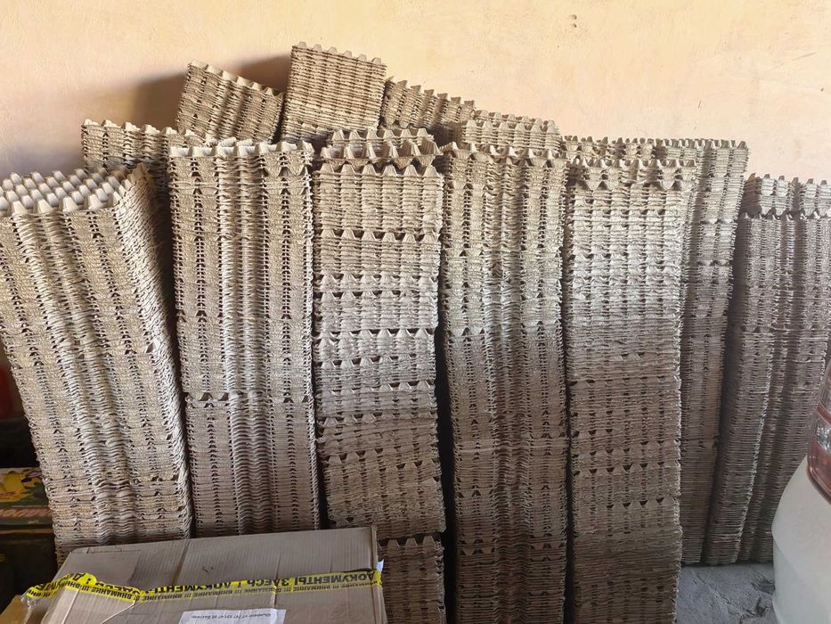 Латок яйцо  латок