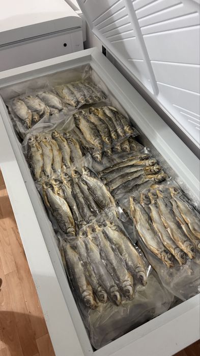 Рыбец , Атырау , 800тг - Шт