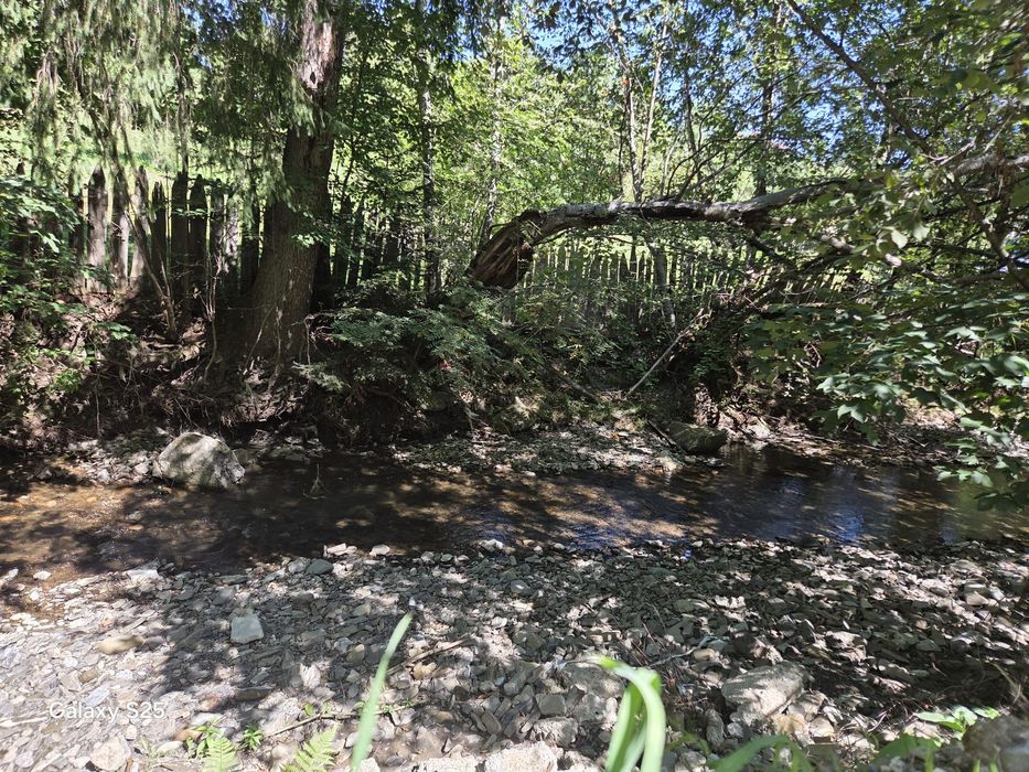 Vanzqre teren intravilan