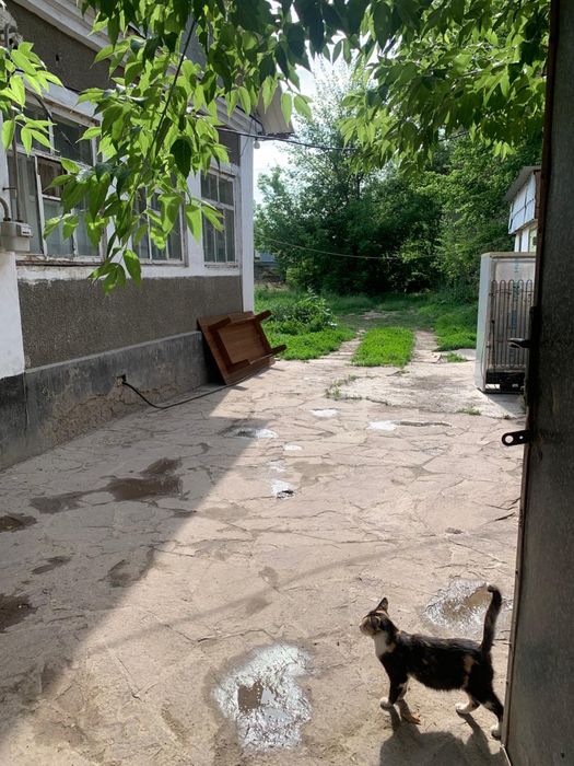 Сдам отдельно стоящий дачный дом