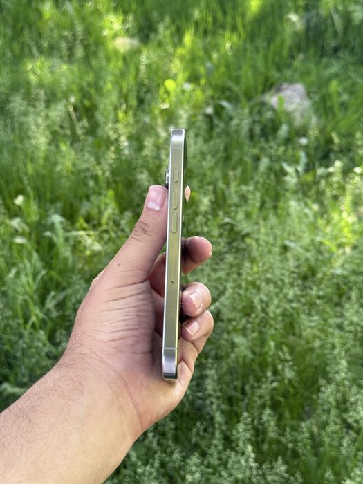 IPhone 16 Pro 256 Natural Titanium