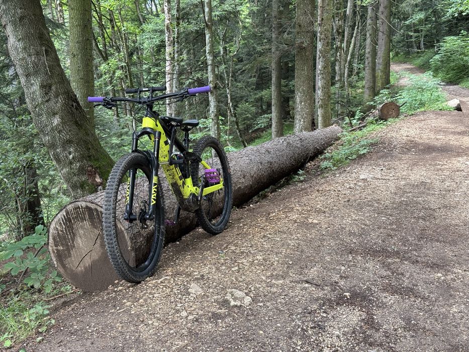 Kids Ride Shotgun MTB 2.0 combo